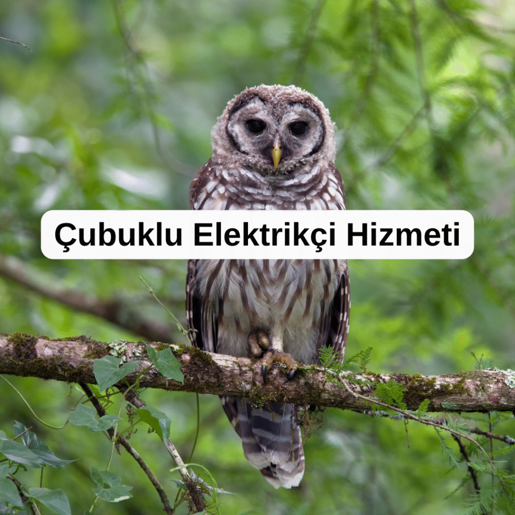 Çubuklu Elektrikçi Hizmeti